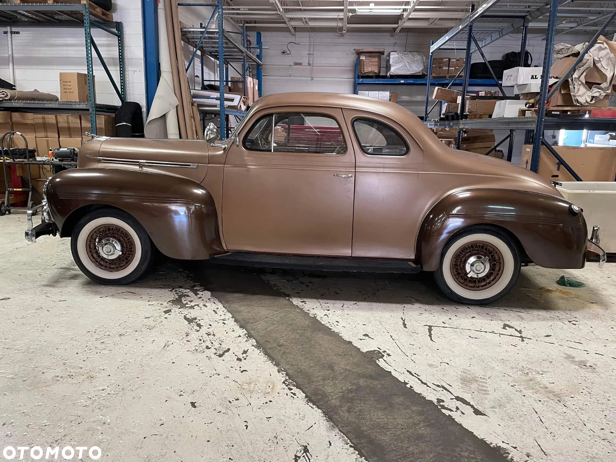Dodge Inny - 16