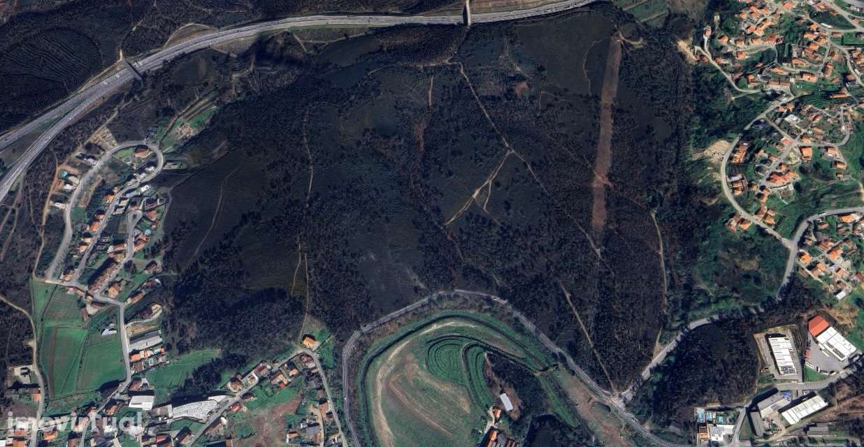 Terreno agrícola de 38.000m² com fácil acesso e perto de serviços - Grande imagem: 3/3