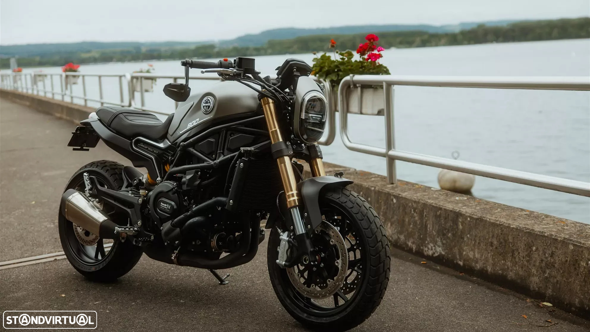 Benelli Leoncino - 10