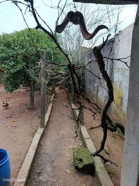 Vende-se barracao potencial para habitação - Grande imagem: 4/10