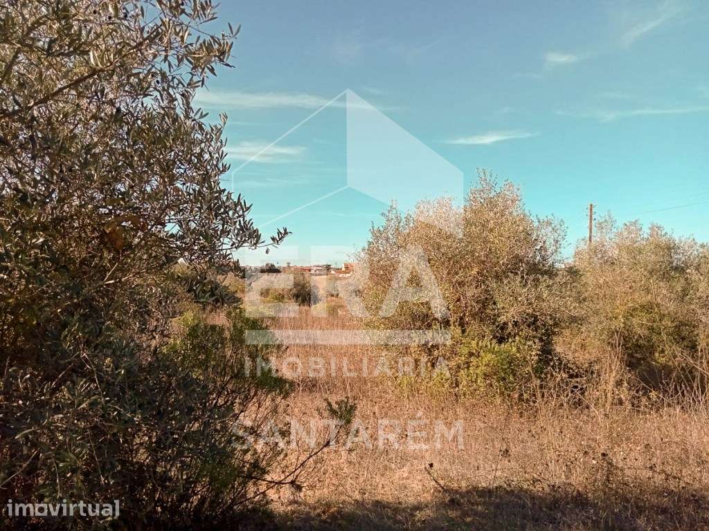 Terreno, Santarém - Grande imagem: 4/8