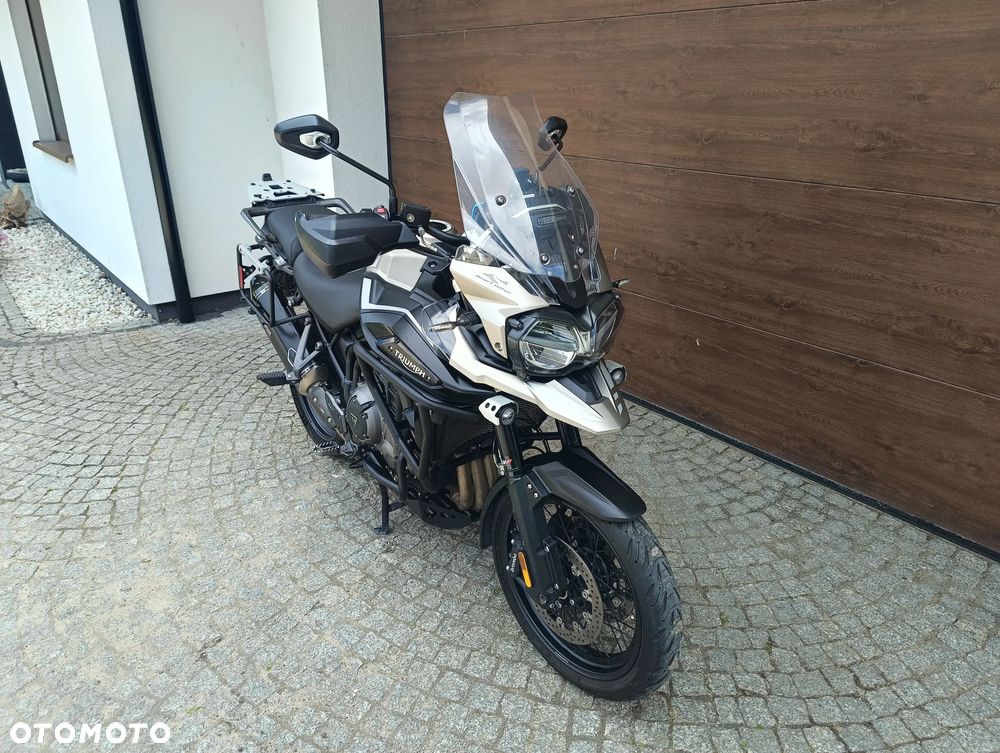 Triumph Inny - 16