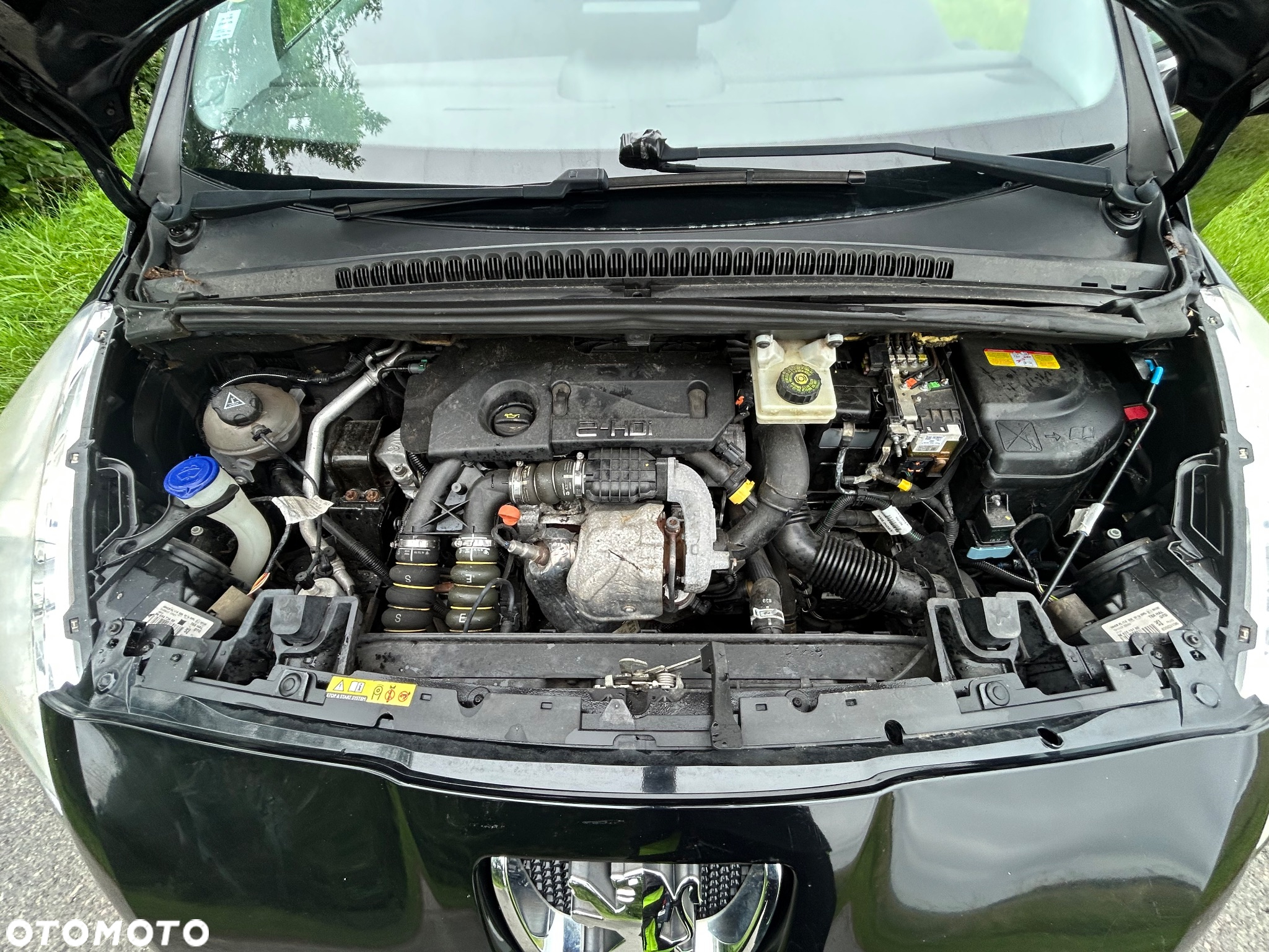 Peugeot 5008 - 34
