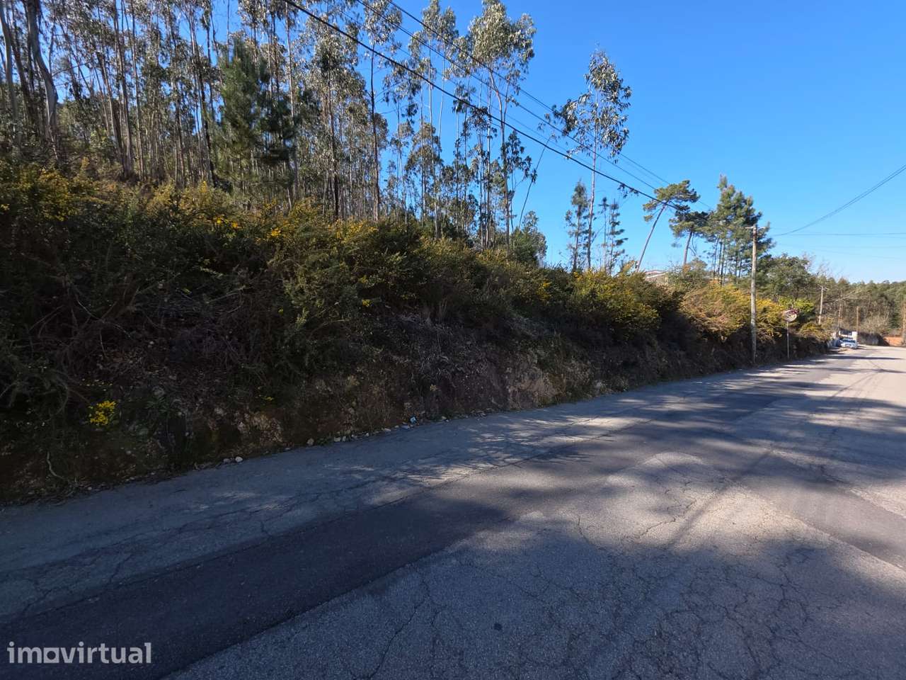 Terreno para construção em Sanguedo - Grande imagem: 2/6