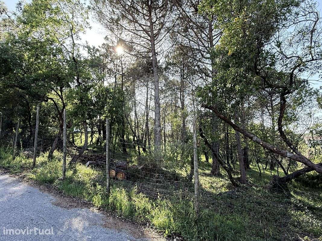 Terreno  para venda - Grande imagem: 3/7