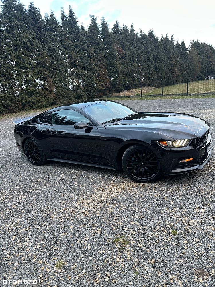 Ford Mustang - 1