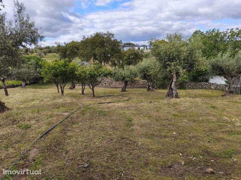 Quinta com terreno na Urra - Grande imagem: 3/12