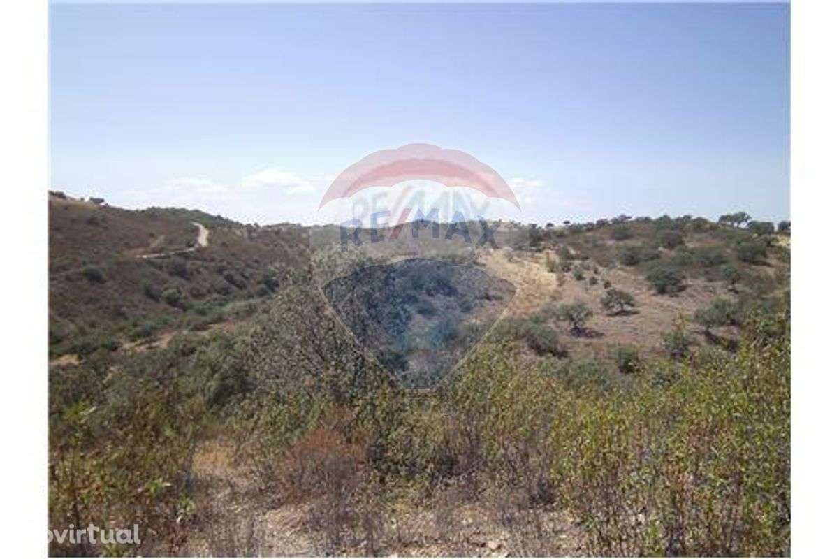 Terreno  para venda - Grande imagem: 4/5