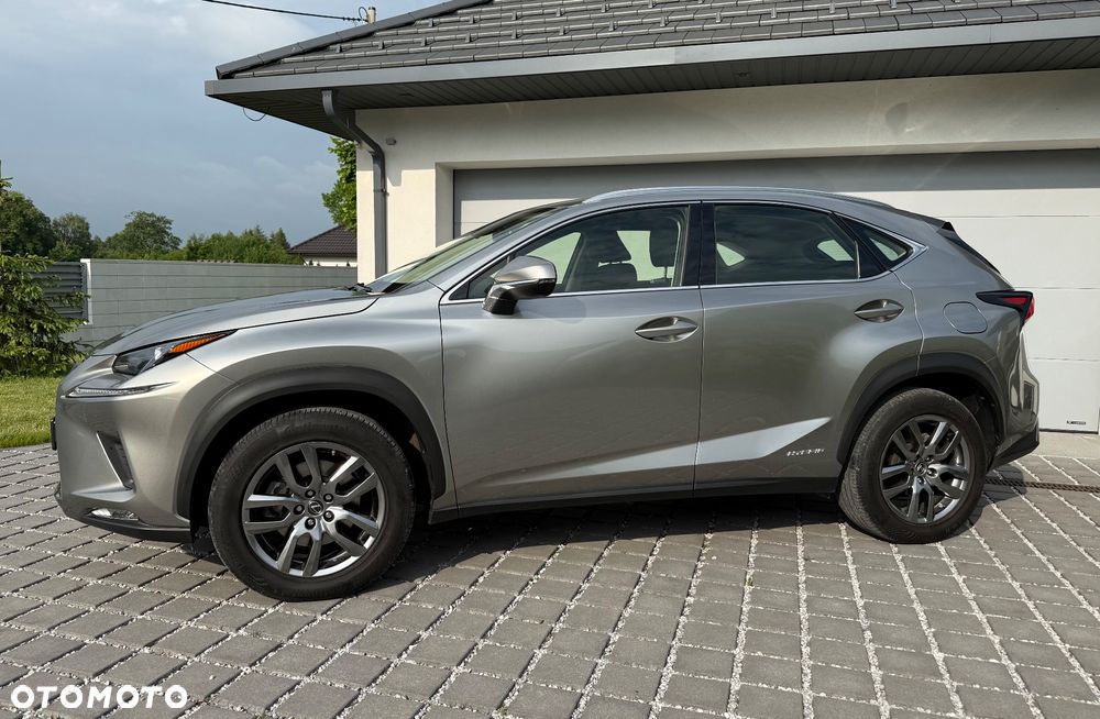 Lexus NX 350h Business AWD - 3