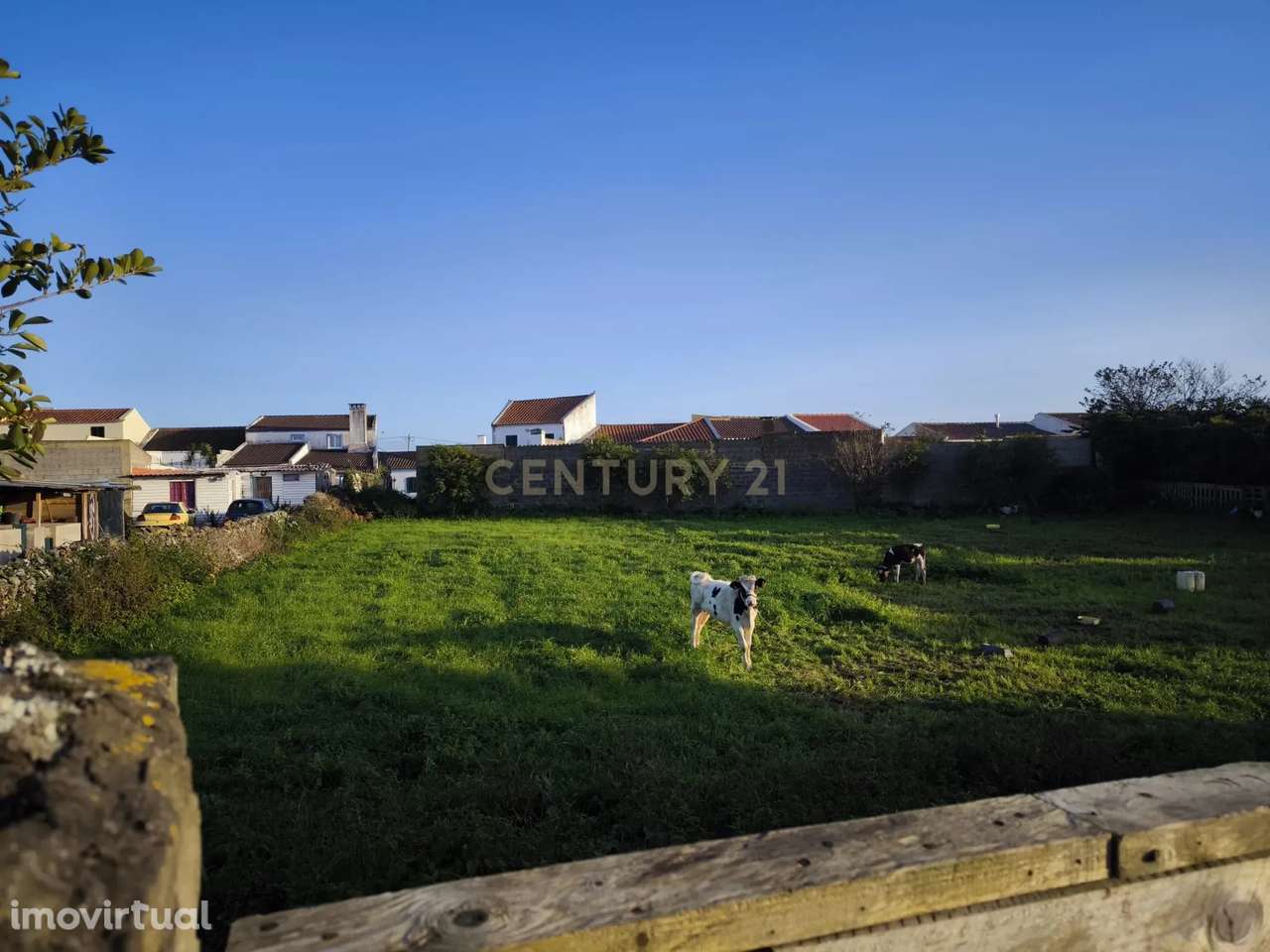 Terreno com 1 920m2, situado em Santa Cruz Lagoa - Grande imagem: 2/9