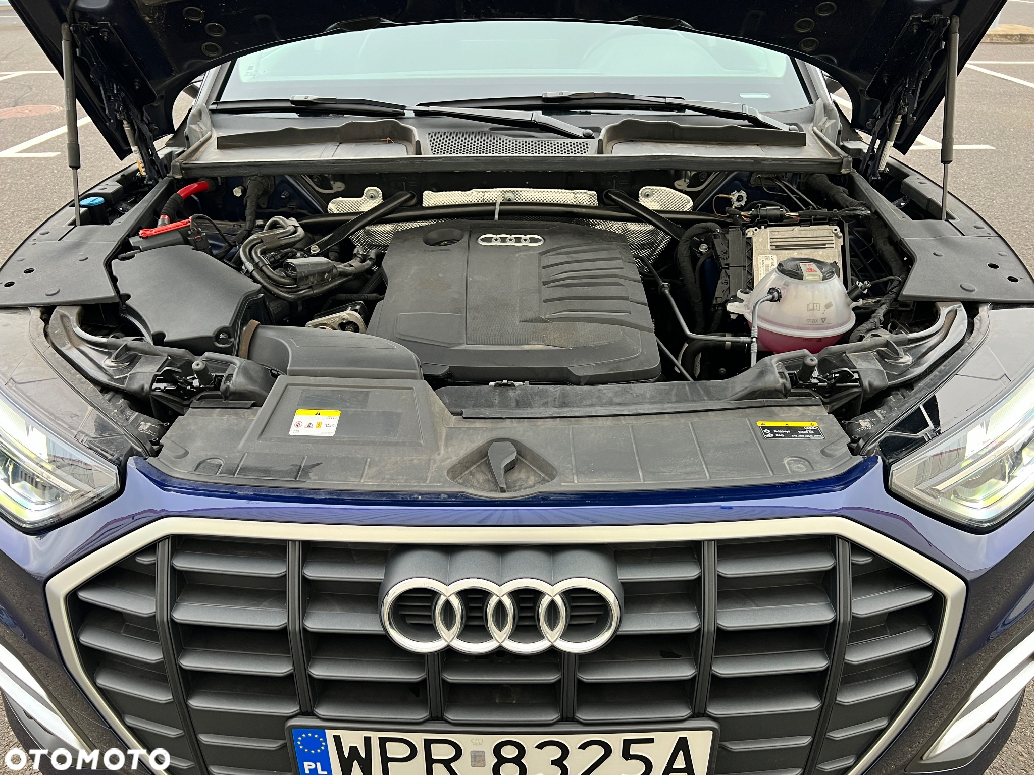 Audi Q5 - 39