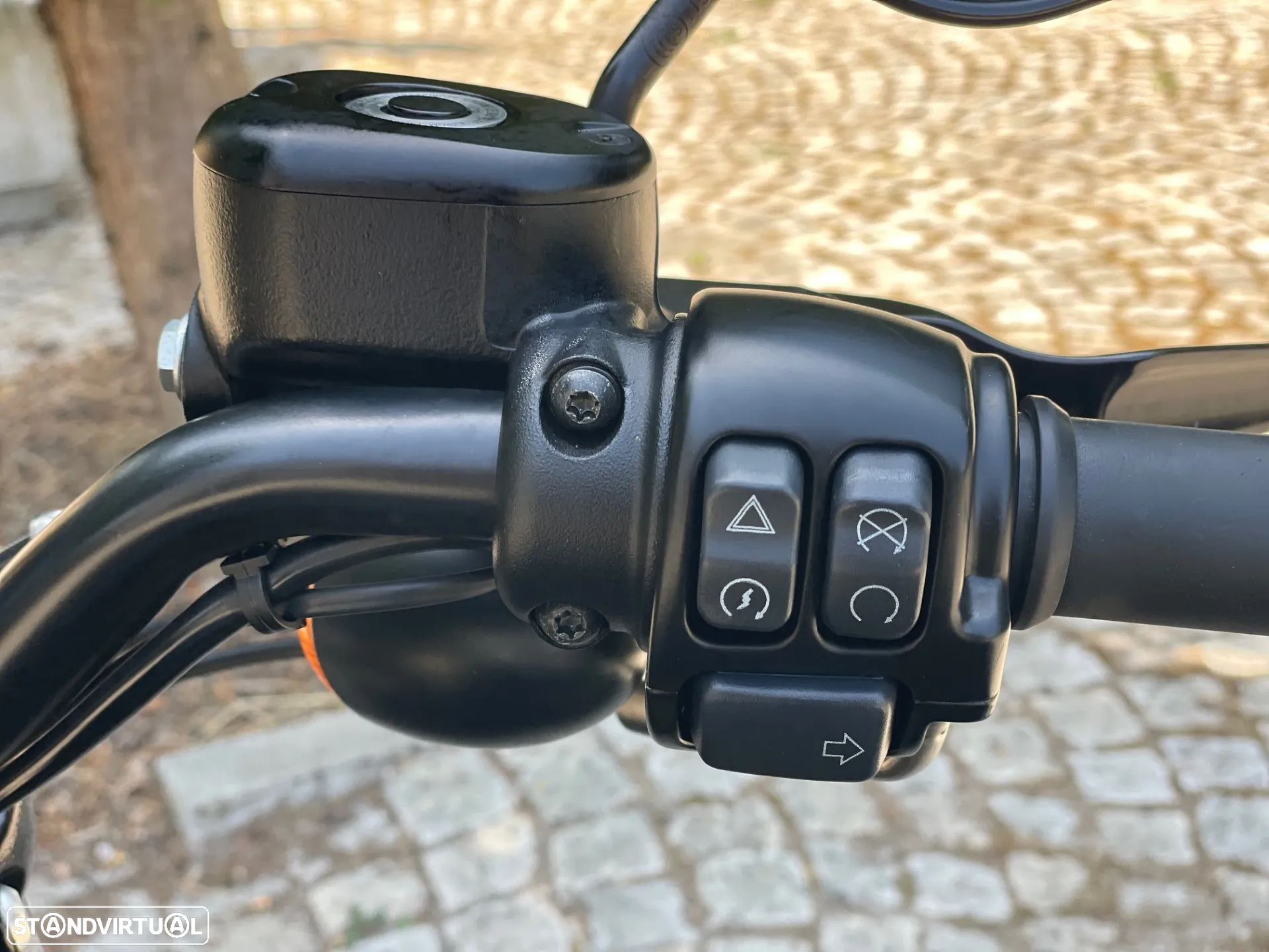 Harley-Davidson Sportster IRON 883 - 13
