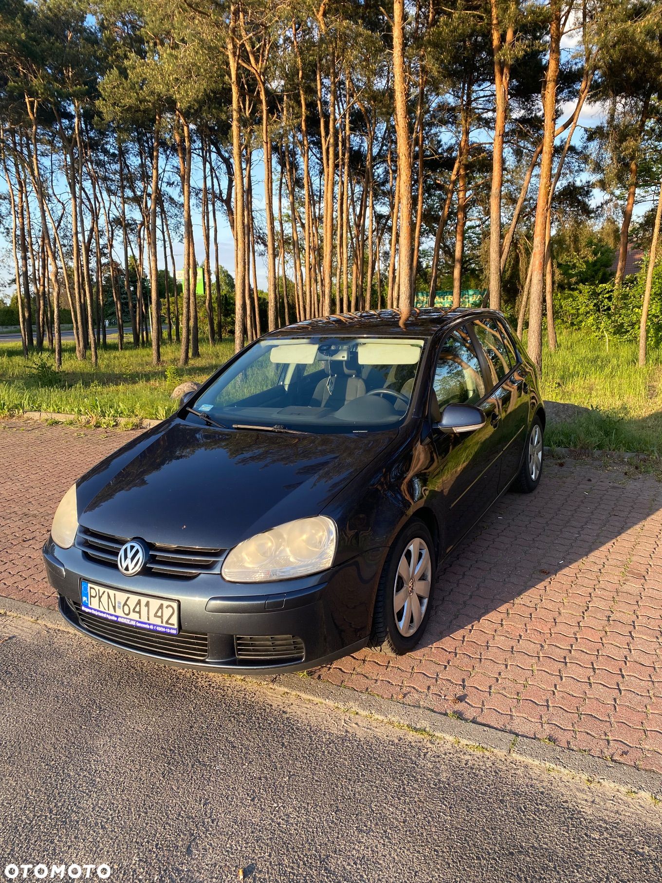 Volkswagen Golf V 2.0 TDI Comfortline - 1