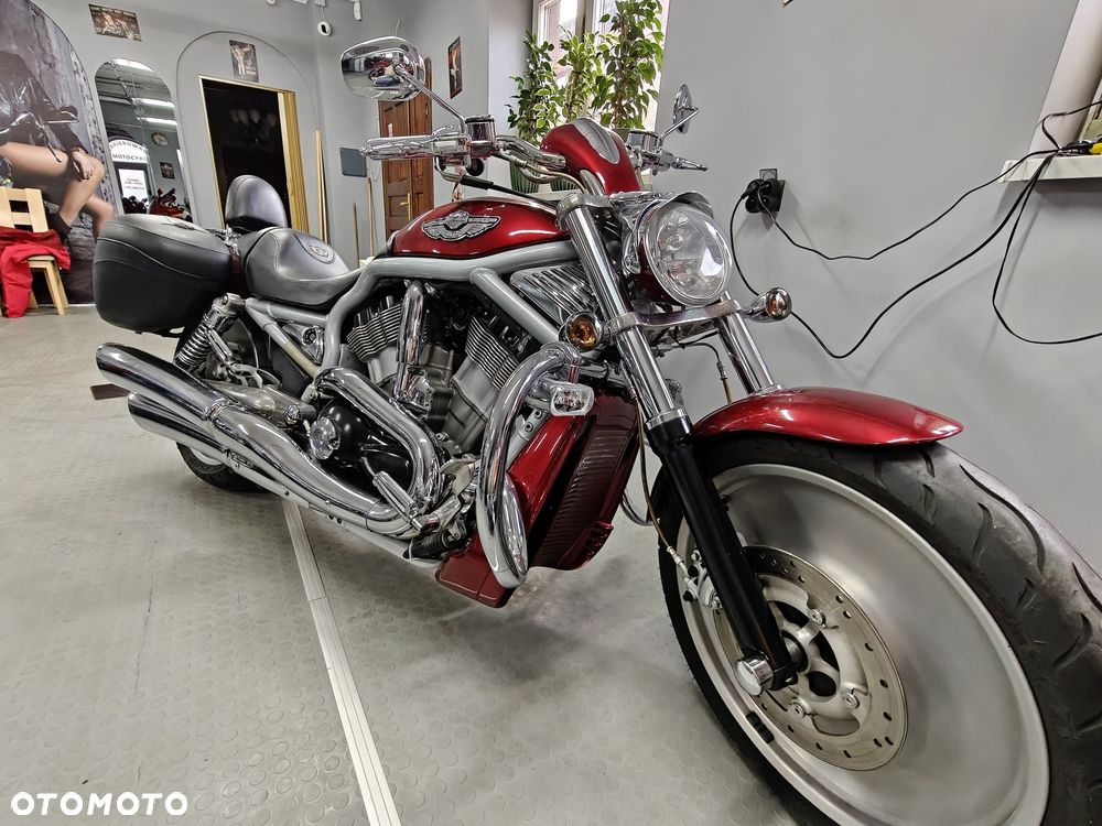 Harley-Davidson Softail V-Rod - 1