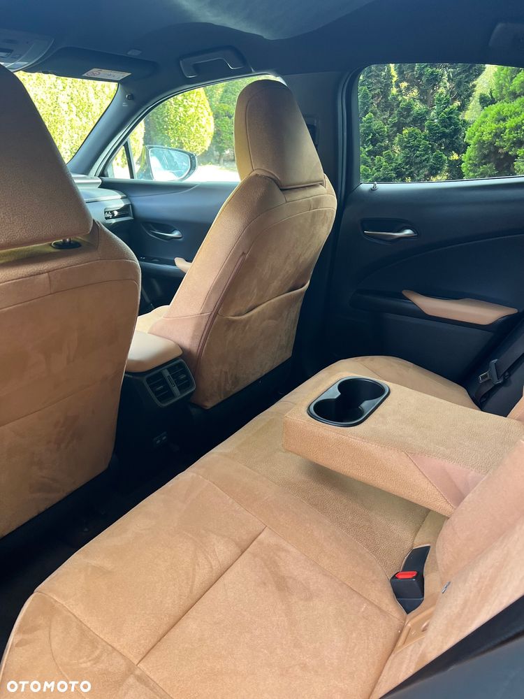 Lexus UX 250h GPF Business 2WD - 19