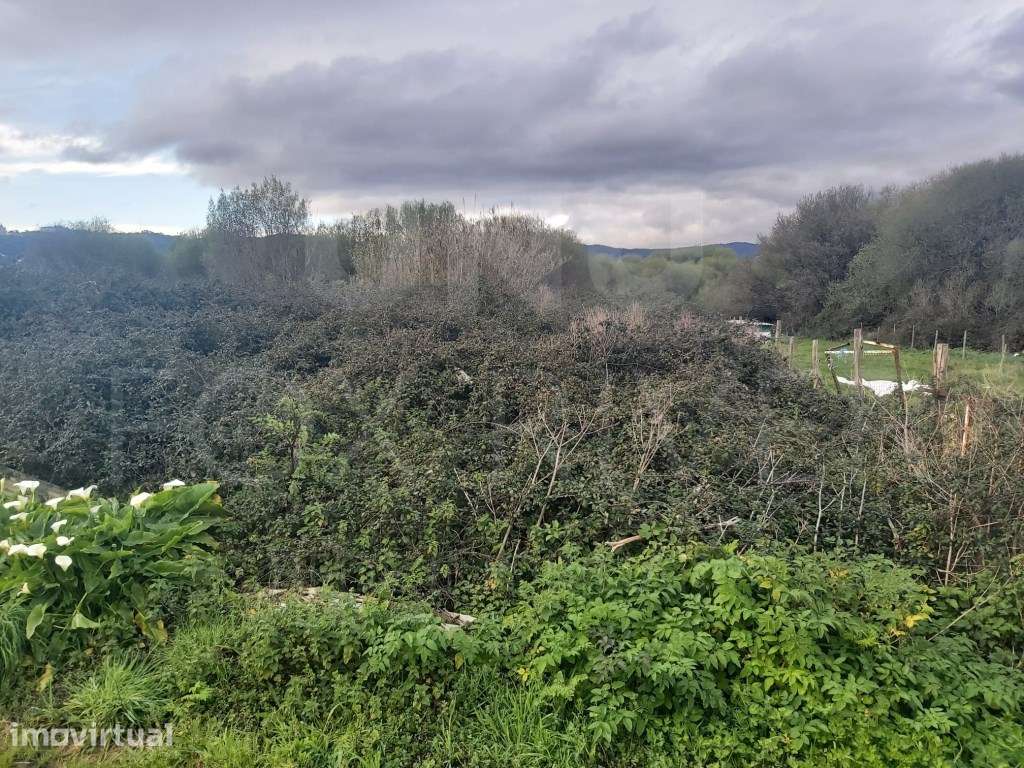 Terreno Urbanizado - Darque - Grande imagem: 5/5