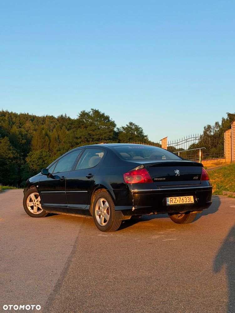 Peugeot 407 - 9