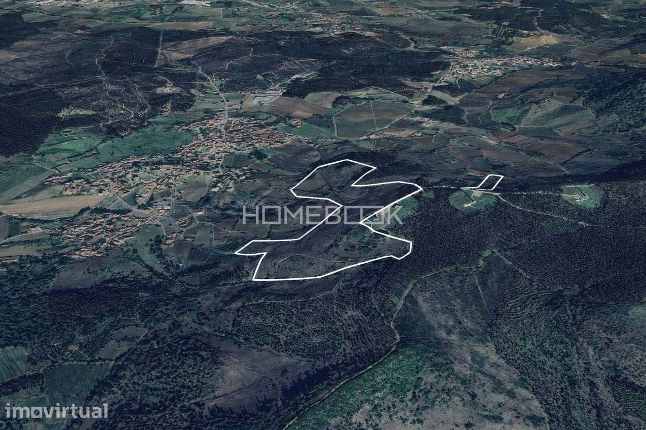Terrenos Rústicos em REN para Venda – Maxial e Monte Redondo | Torres - Grande imagem: 3/4