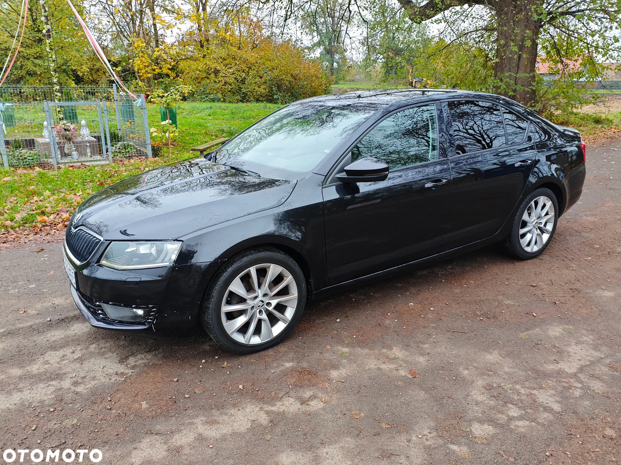 Skoda Octavia 2.0 TDI Ambition DSG - 16