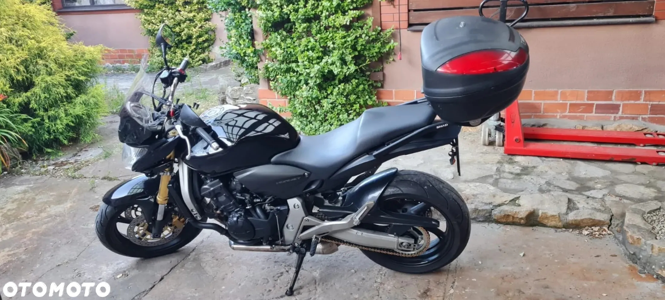 Honda Hornet - 4