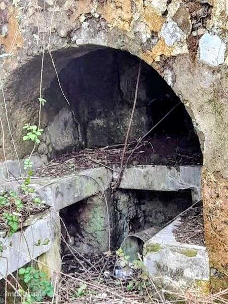 Terreno Ruina nos Açores - Grande imagem: 5/12