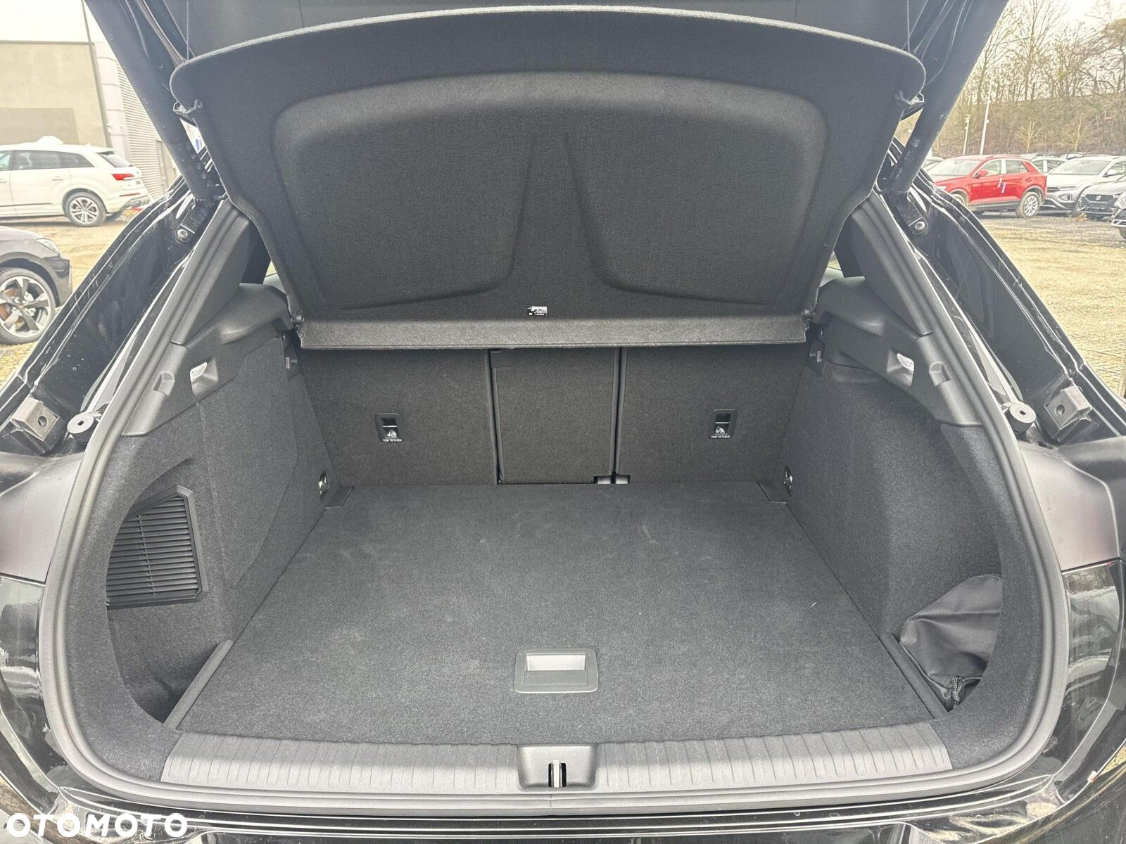 Cupra Terramar - 23
