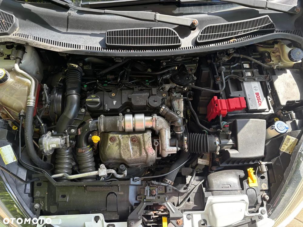 Ford Fiesta - 15