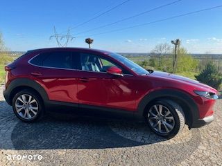 Mazda CX-30 2.0 mHEV Hikari 2WD - 3