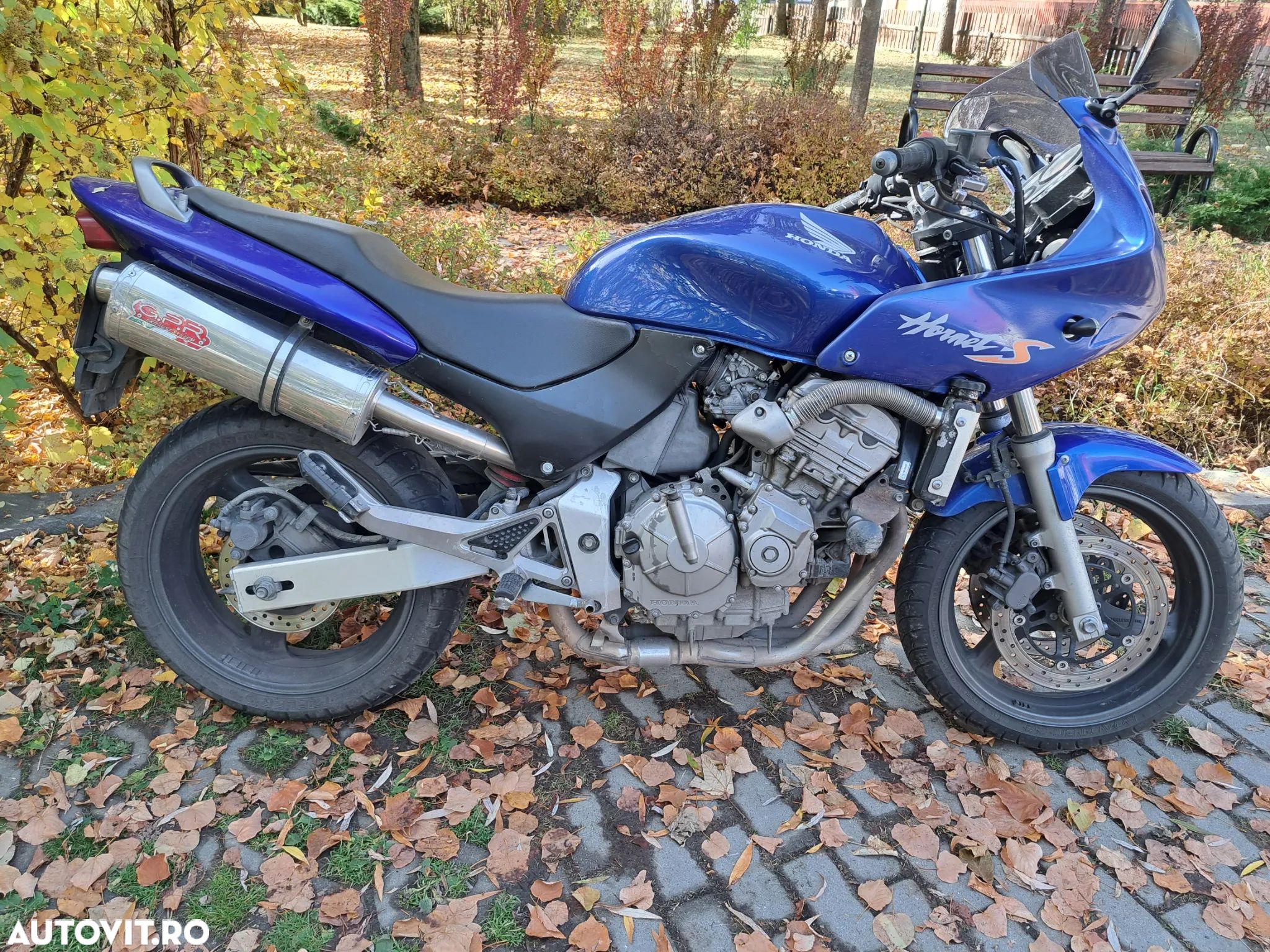 Honda CB 600S Hornet - 1