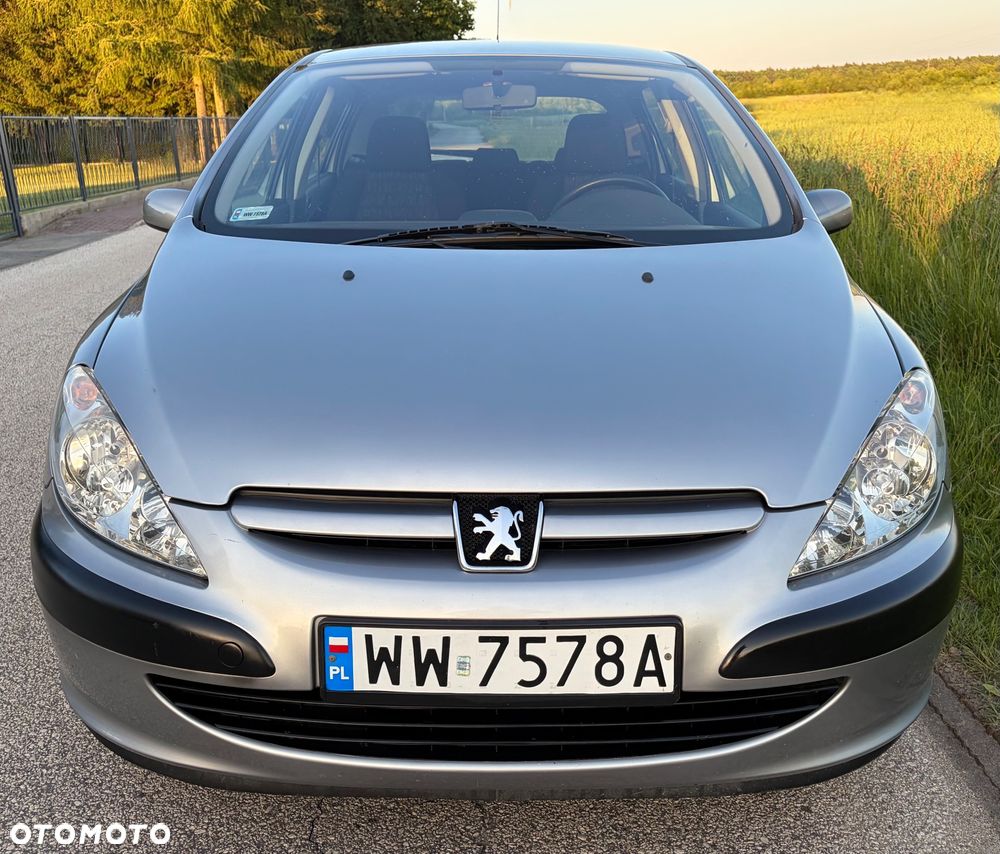 Peugeot 307 1.6 Premium - 30