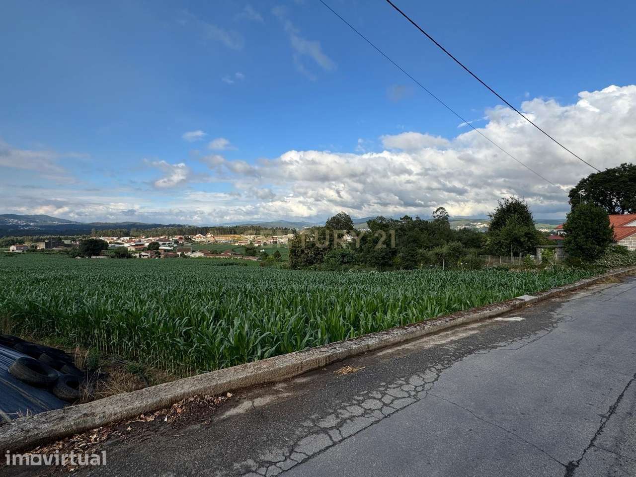 Terreno Rústico com 10.000 m² em Monte de Fralães – Barcelos - Grande imagem: 4/7