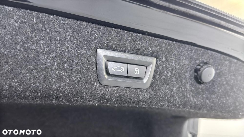 BMW Seria 5 530i xDrive mHEV Luxury Line - 19