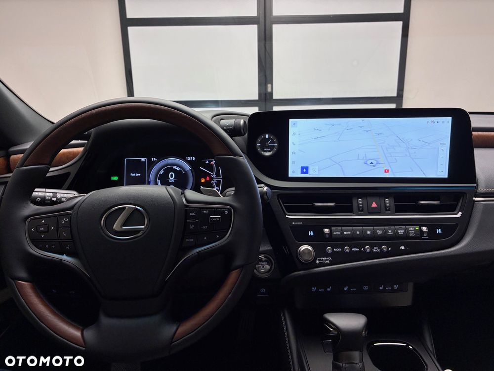 Lexus ES 300h Omotenashi - 5