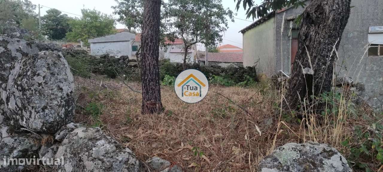 Moradia T1 para Restaurar na Serra do Montemuro, Aldeia do Mezio - Grande imagem: 5/11