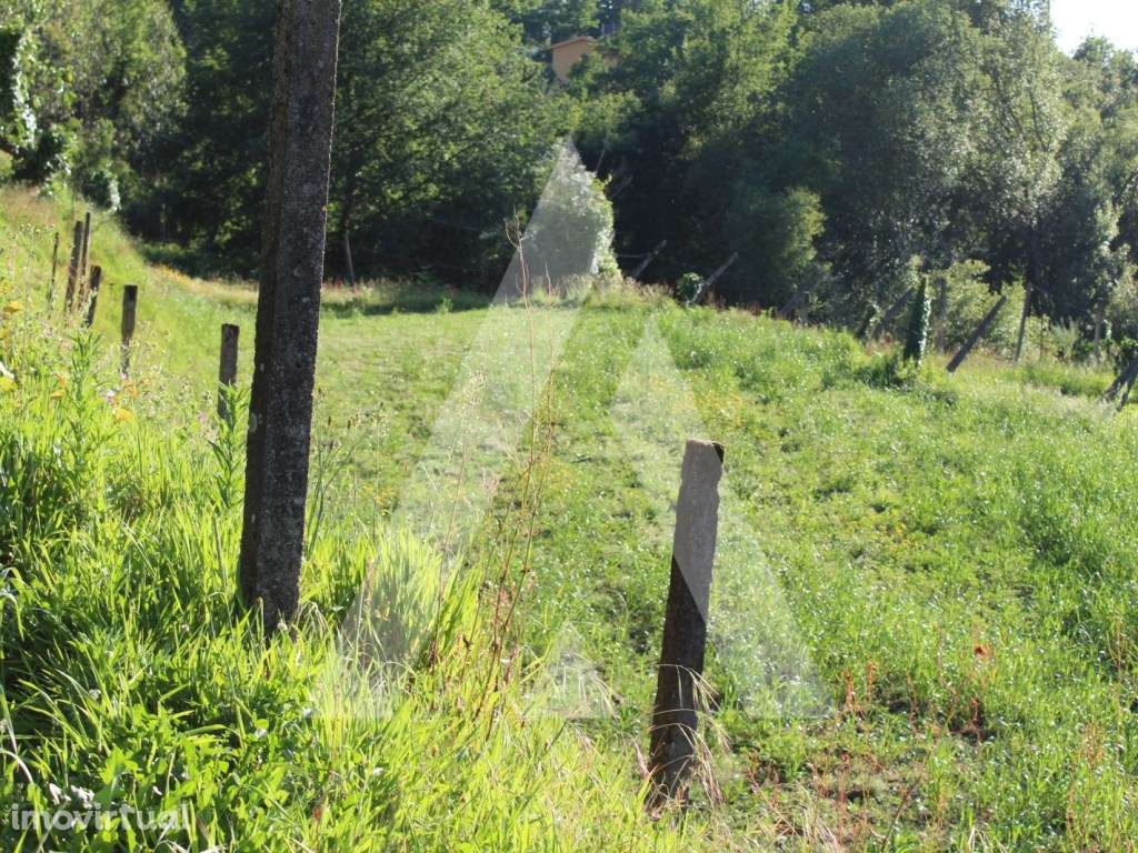 Terreno para construção em Paradela - Sever do Vouga - Grande imagem: 3/10