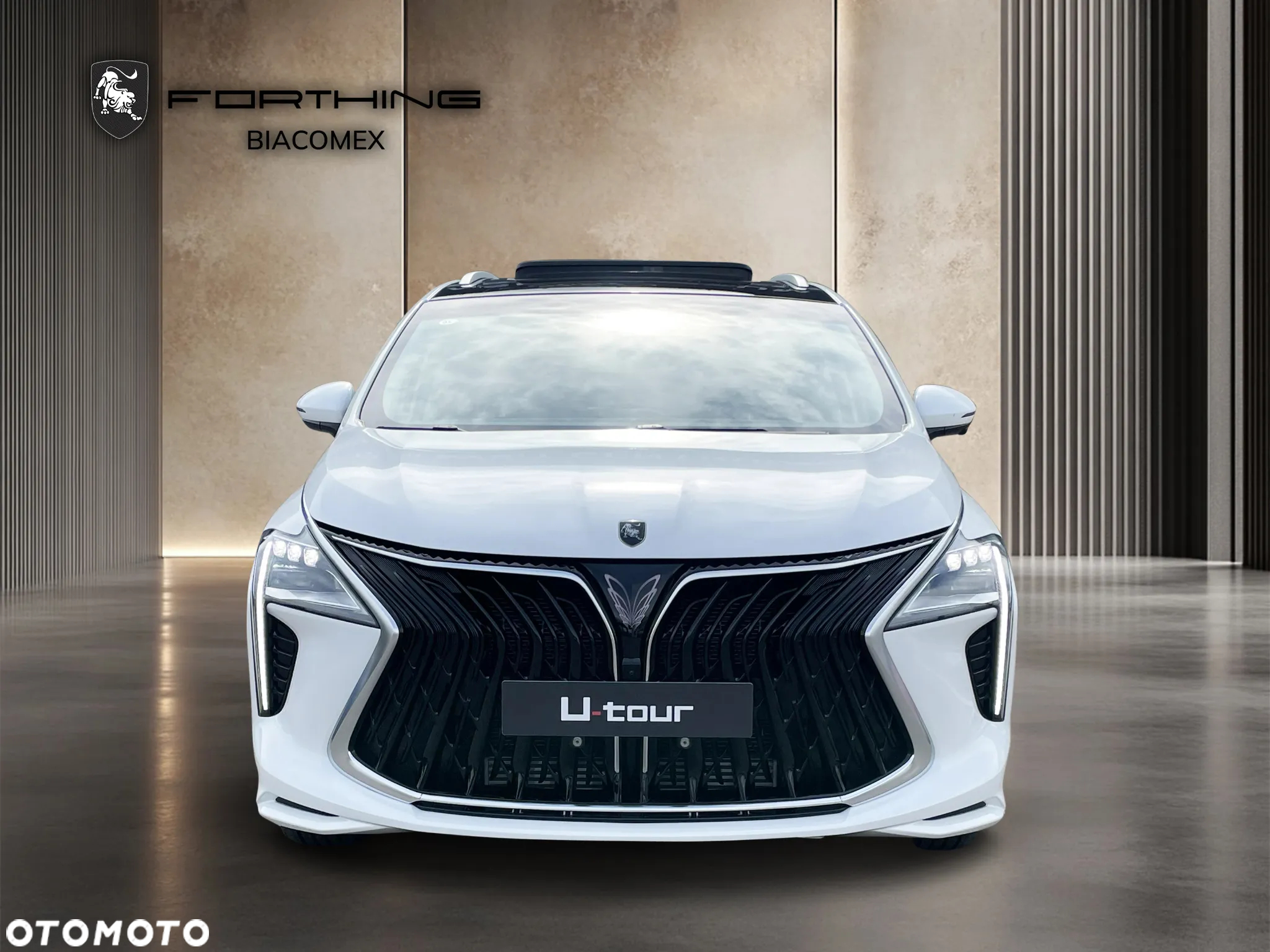 Forthing U Tour 1.5 DVVT GDI DCT - 8