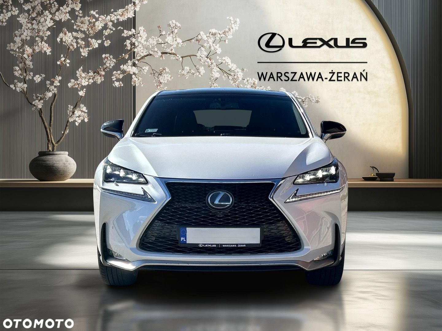 Lexus NX 300h F Sport AWD - 10