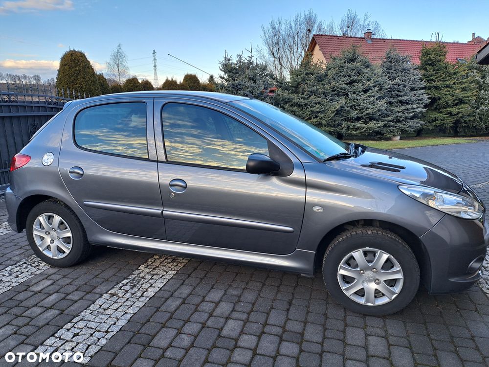 Peugeot 206 plus 60 - 3