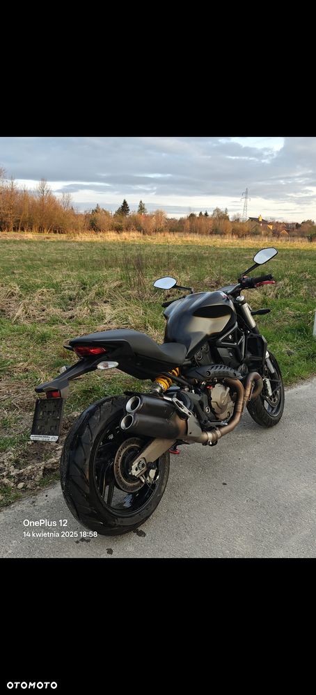 Ducati Monster - 3