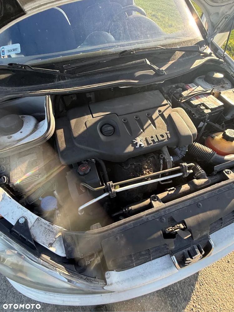 Peugeot 206 - 13