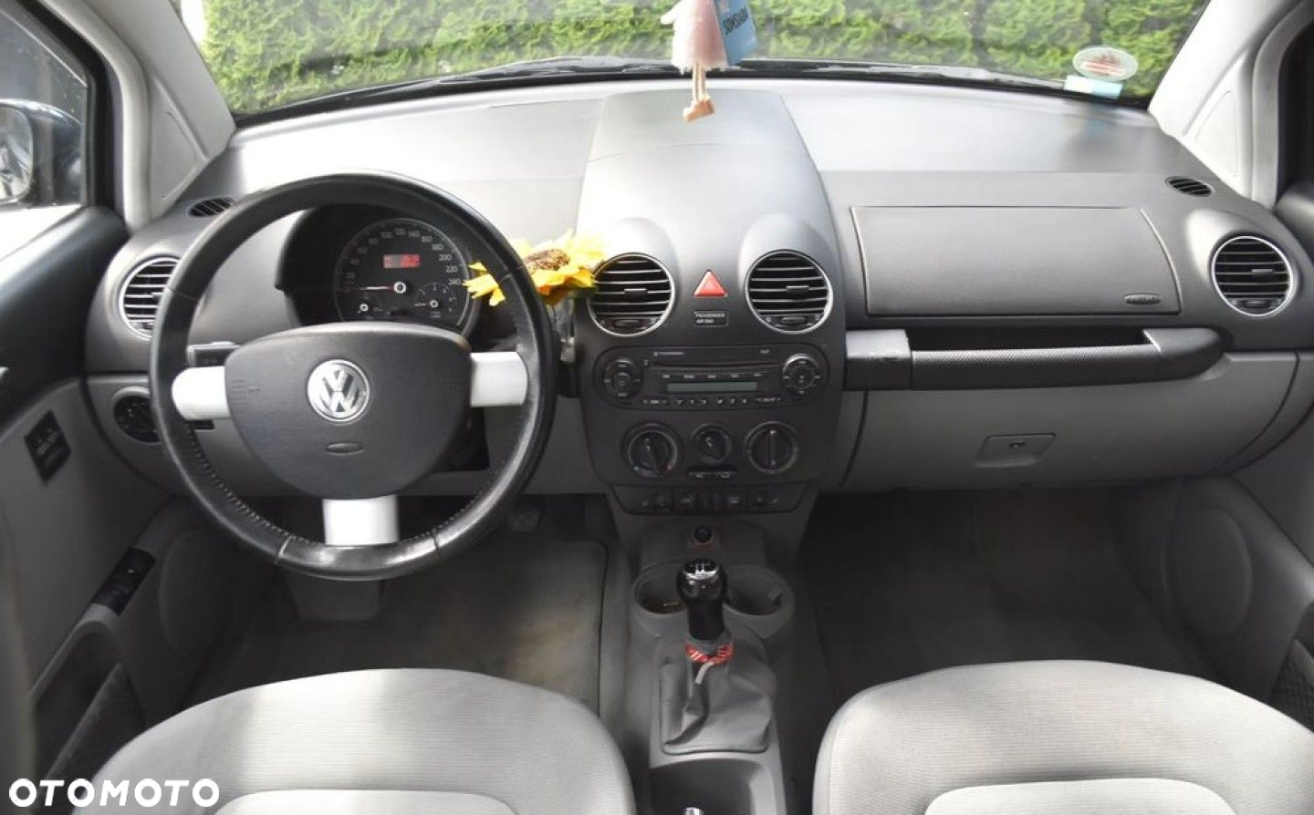 Volkswagen New Beetle - 7