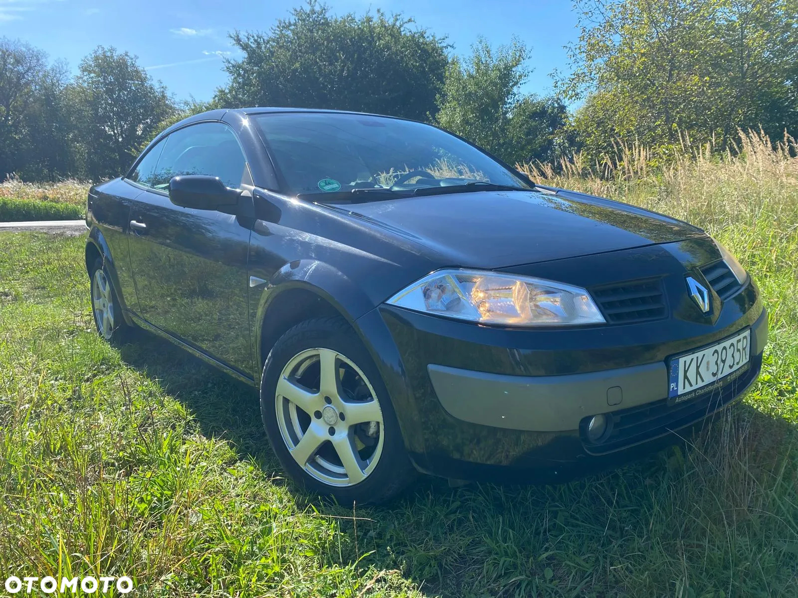 Renault Megane CC 1.6 Confort Authentique - 2