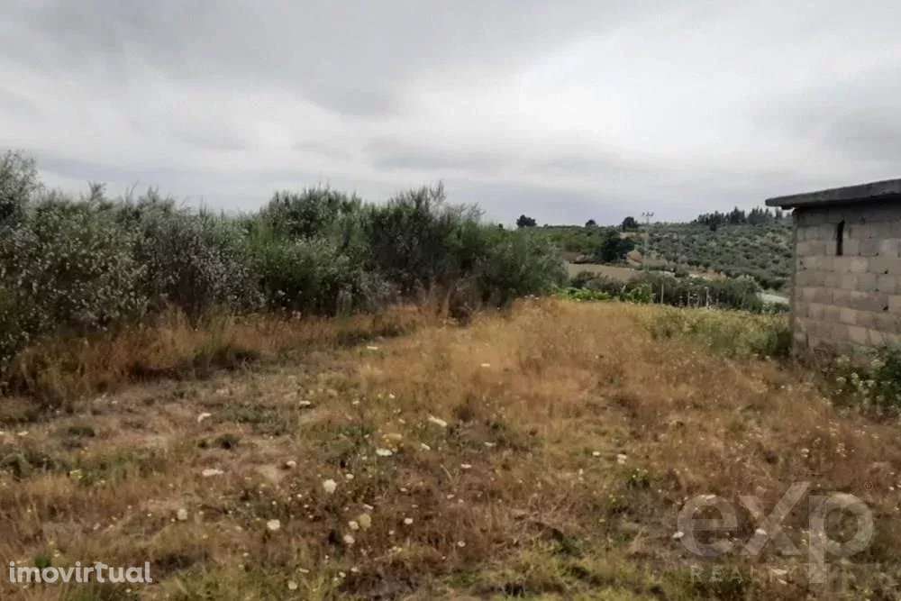 Terreno rústico - Freguesia Bouça - Grande imagem: 5/8