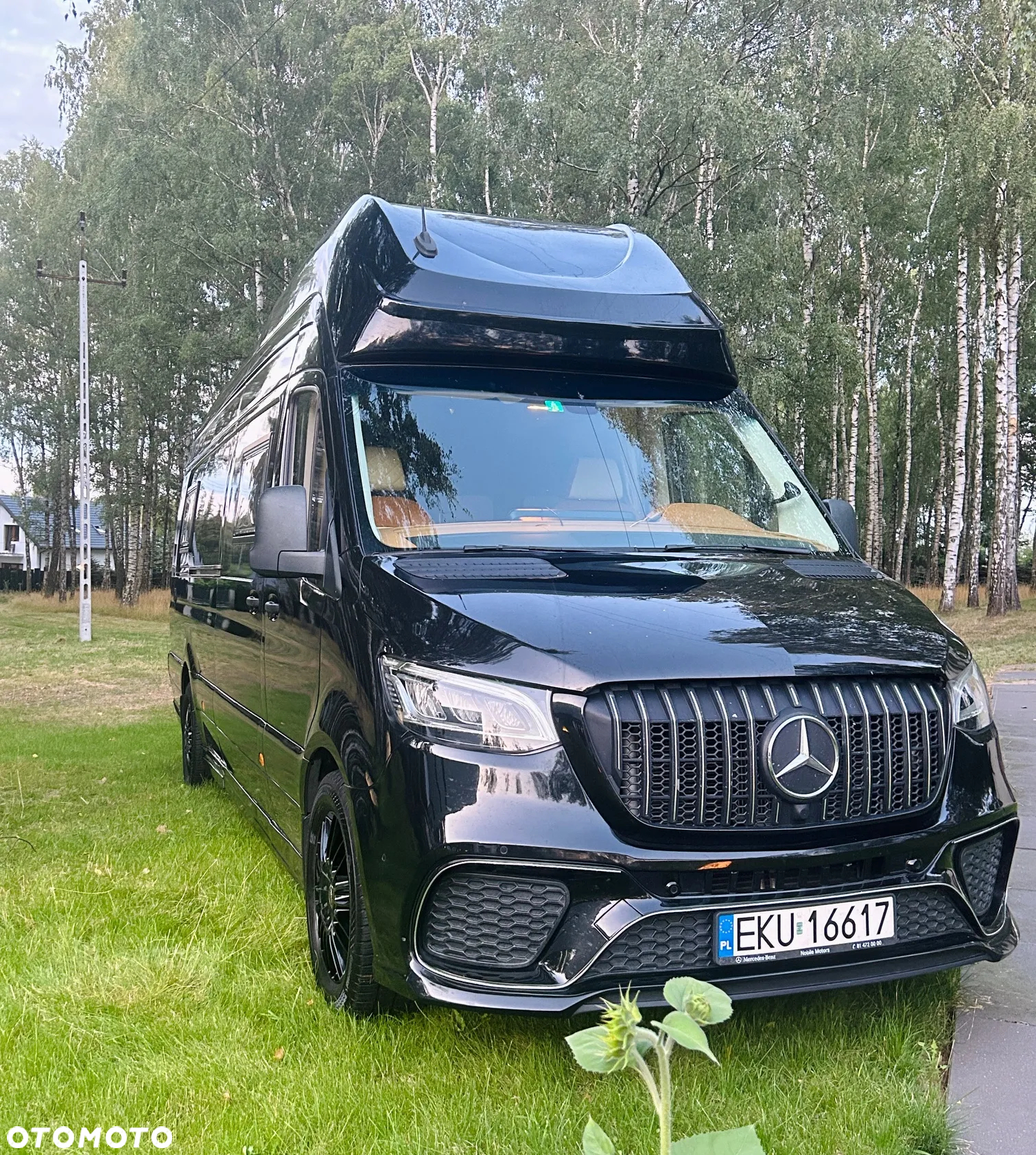 Mercedes-Benz SPRINTER 319 - 5