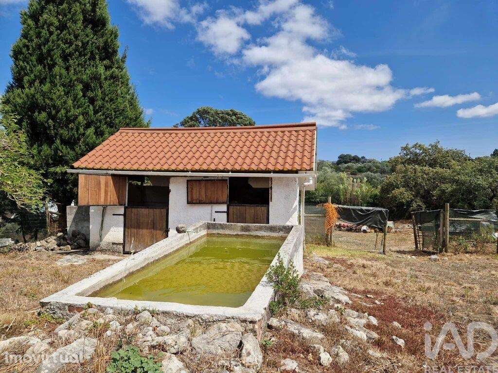 Terreno em Alvados e Alcaria de 3040,00 m2 - Grande imagem: 4/21