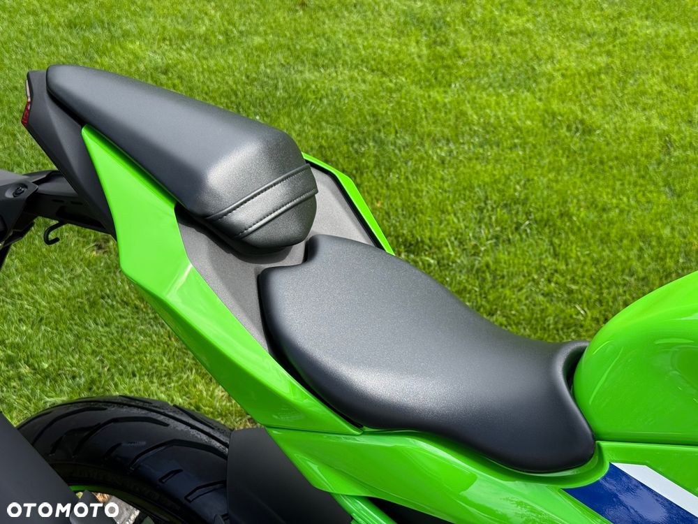 Kawasaki Ninja - 19