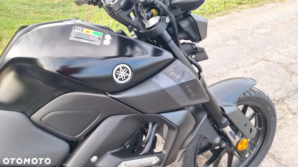 Yamaha MT - 6