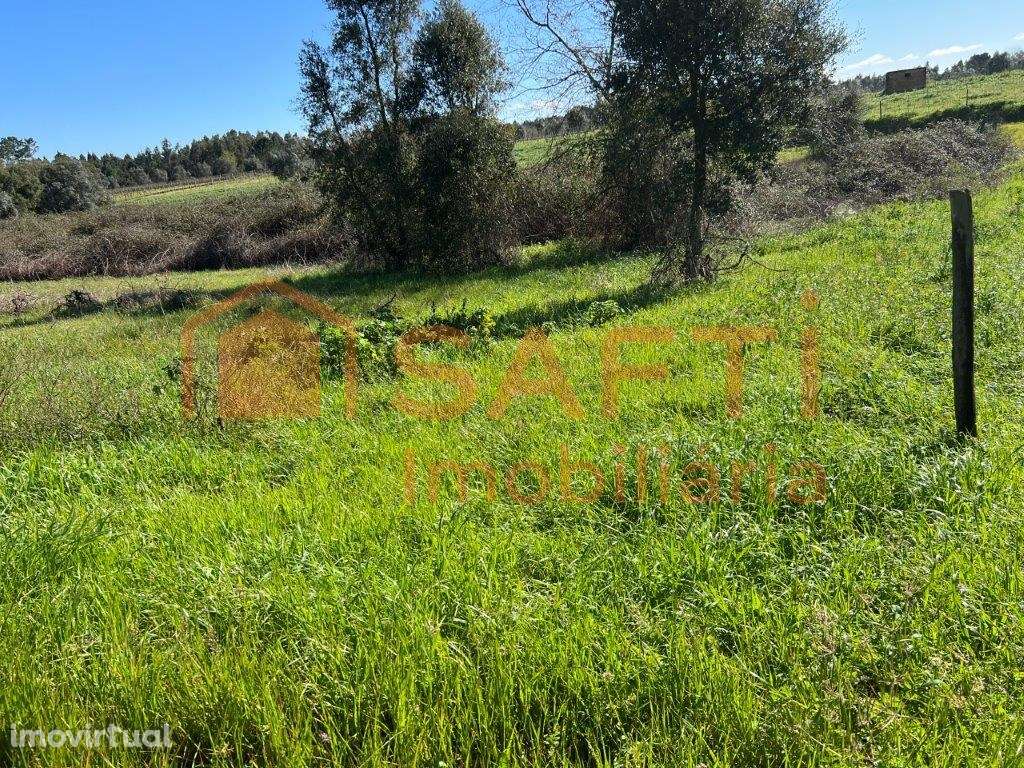 Terreno com 5870 m2 em São Lourenço do Bairro - Grande imagem: 5/12