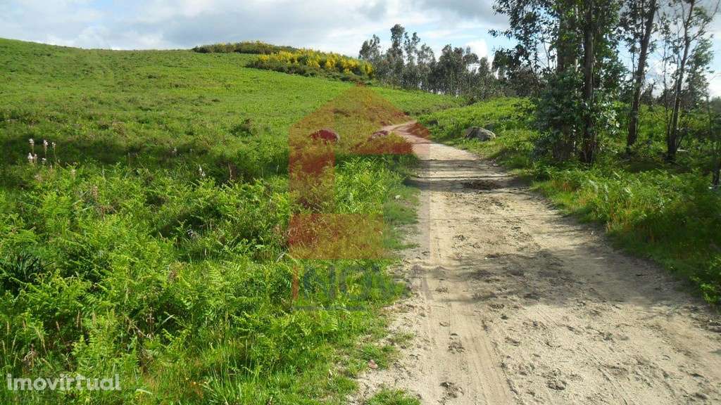 Terreno, Godinhaços - Grande imagem: 5/14