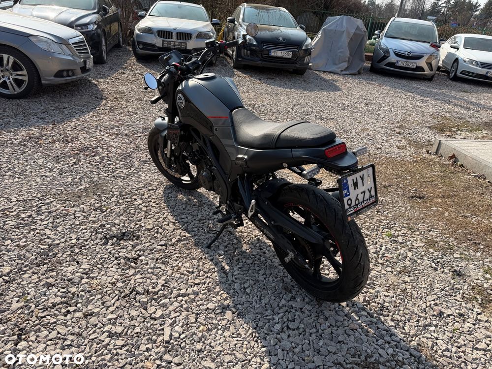 Benelli Leoncino - 3